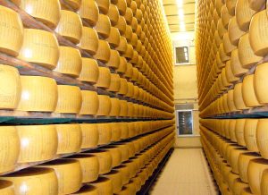 Cámara de refrigeración para conservación y curación de quesos