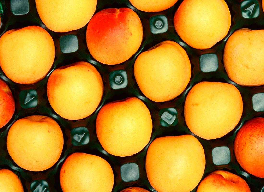 Fruta envasada durante proceso de refrigeración